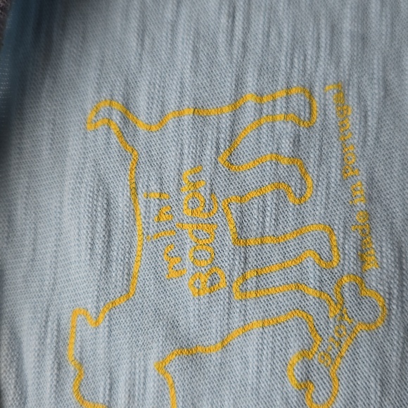 OshKosh B'Gosh (Size 12) and Mini Boden SEE NOTES (Size 9-10) Boys Tee Shirts - Picture 3 of 15